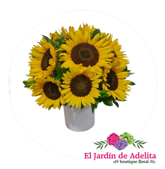 Girasoles  sun shine
