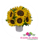 Girasoles  sun shine