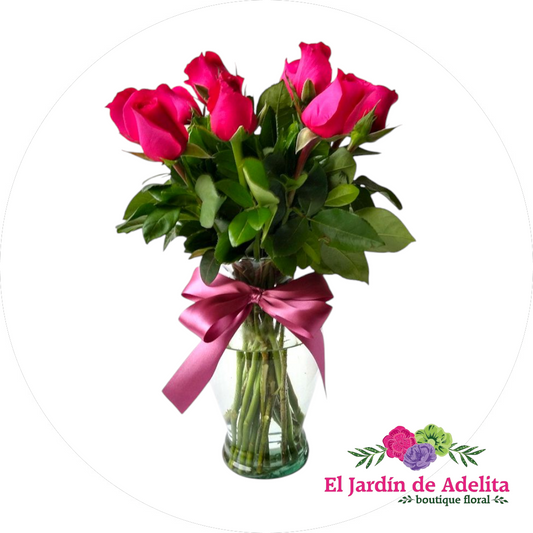 Rosas fiusha