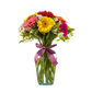 gerberas multicolor