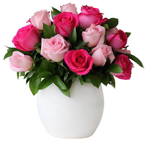 Base con Rosas rosas y rosas fiusha