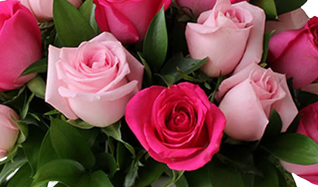 Base con Rosas rosas y rosas fiusha